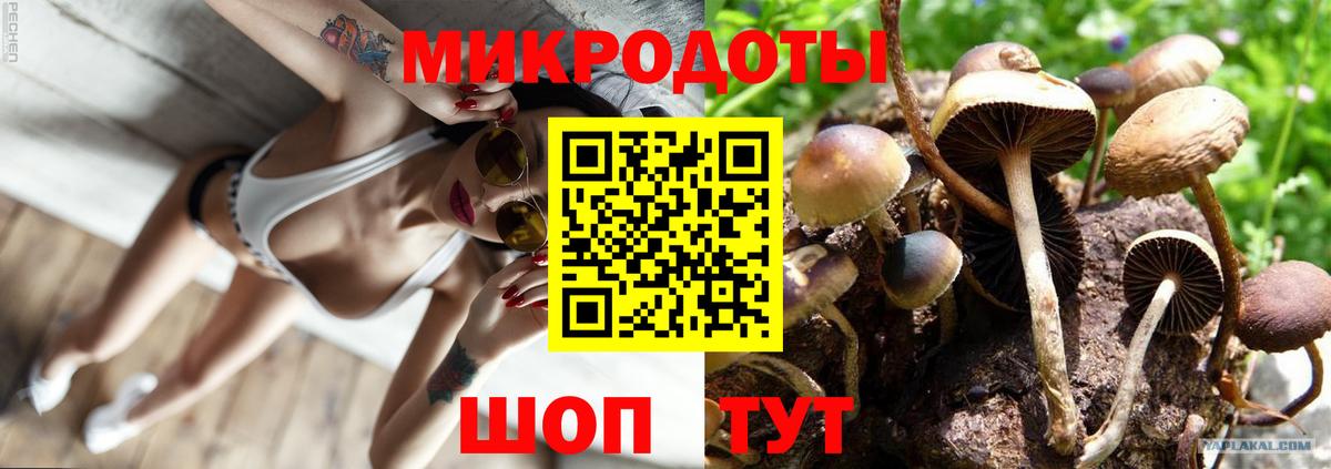 Галлюциногенные грибы Cubensis  Вход с VPN  Южно-Сахалинск 