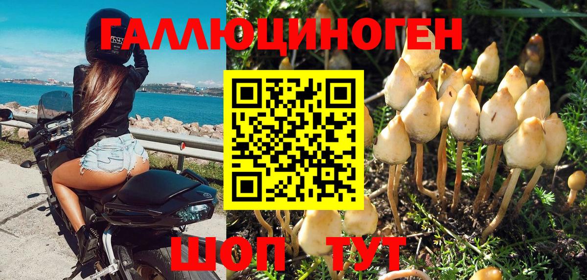 Псилоцибиновые грибы мицелий Южно-Сахалинск